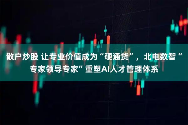散户炒股 让专业价值成为“硬通货”，北电数智“专家领导专家”重塑AI人才管理体系