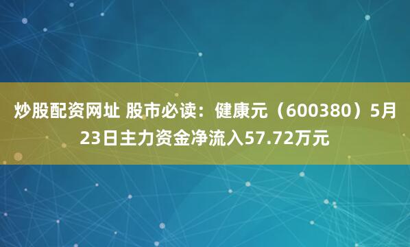炒股配资网址 股市必读：健康元（600380）5月23日主力资金净流入57.72万元