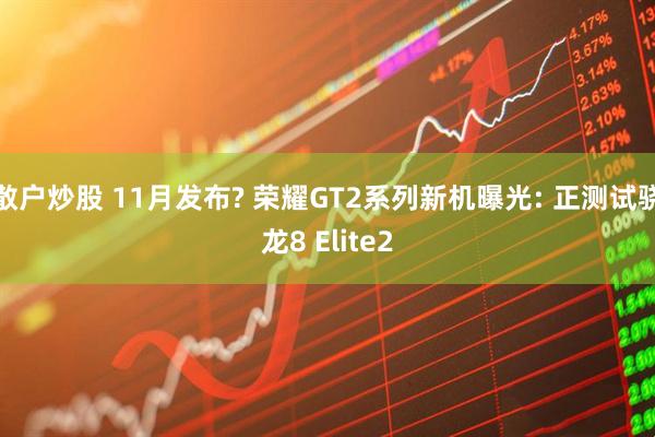 散户炒股 11月发布? 荣耀GT2系列新机曝光: 正测试骁龙8 Elite2